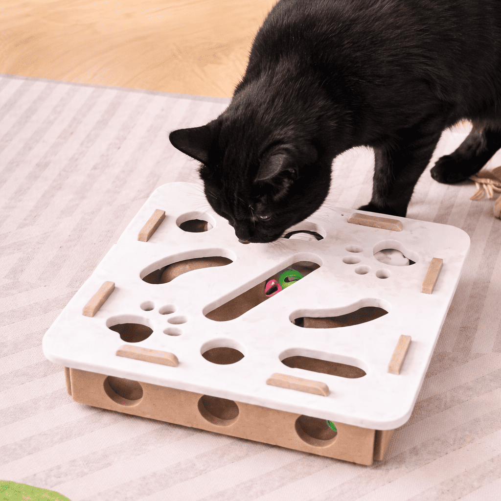 Cat exercise toy with ball