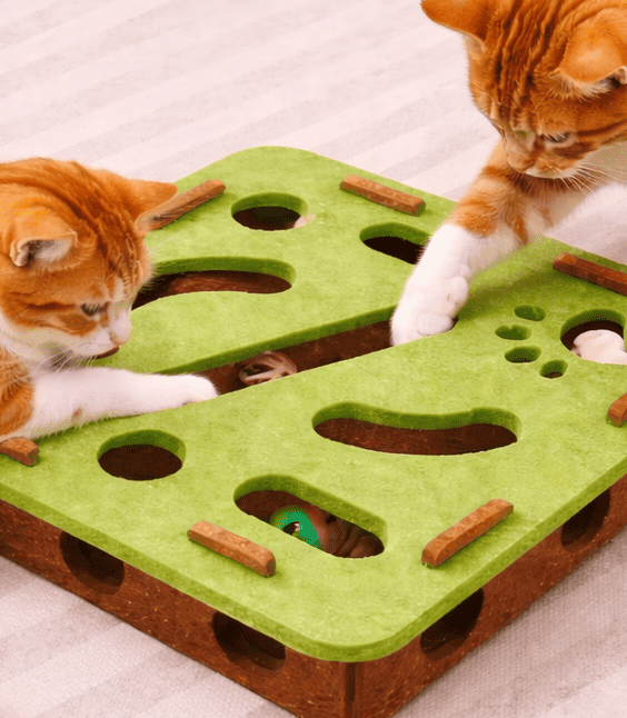Cat exercise toy with ball