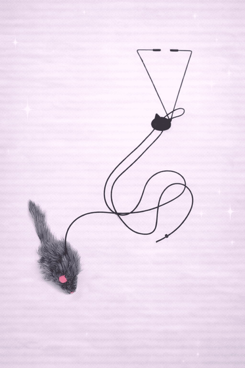 Door hanging cat toy