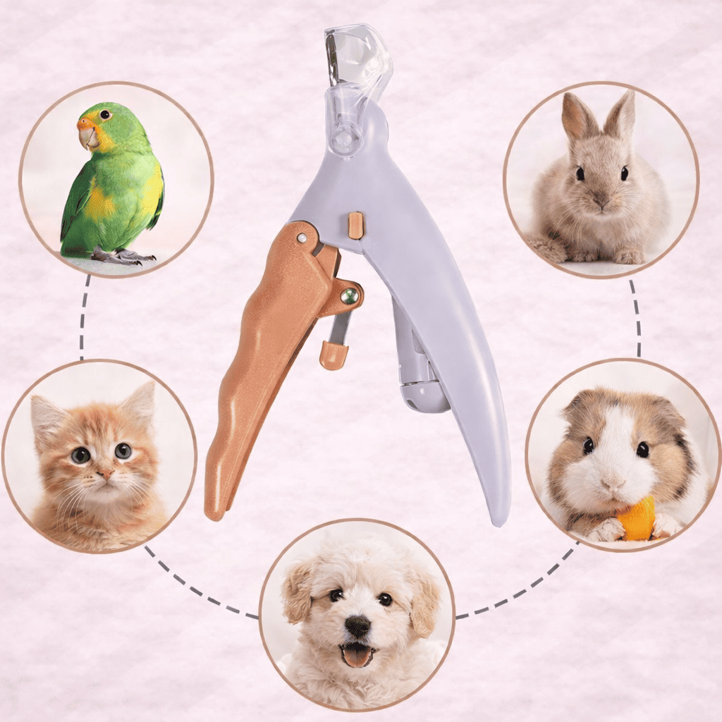 Pet nail clipper scissors with LED light