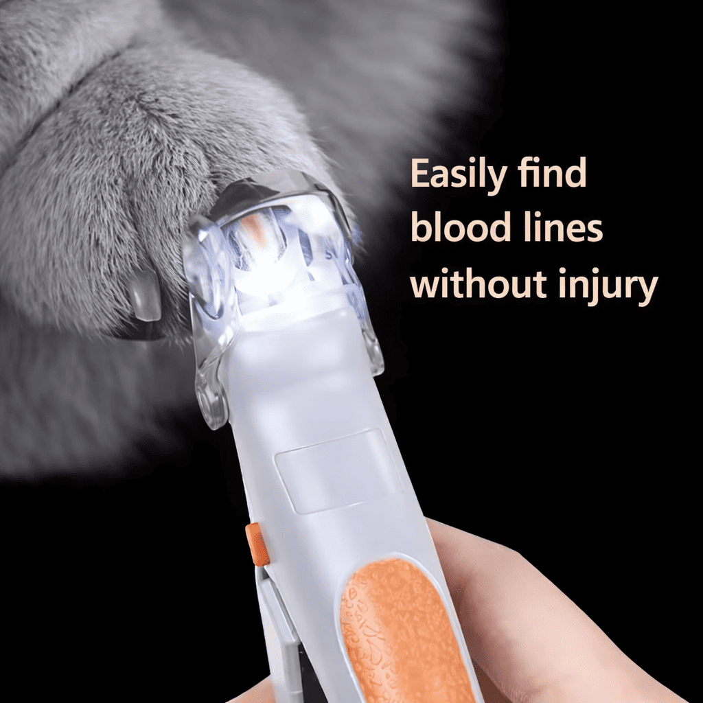 Pet nail clipper scissors with LED light