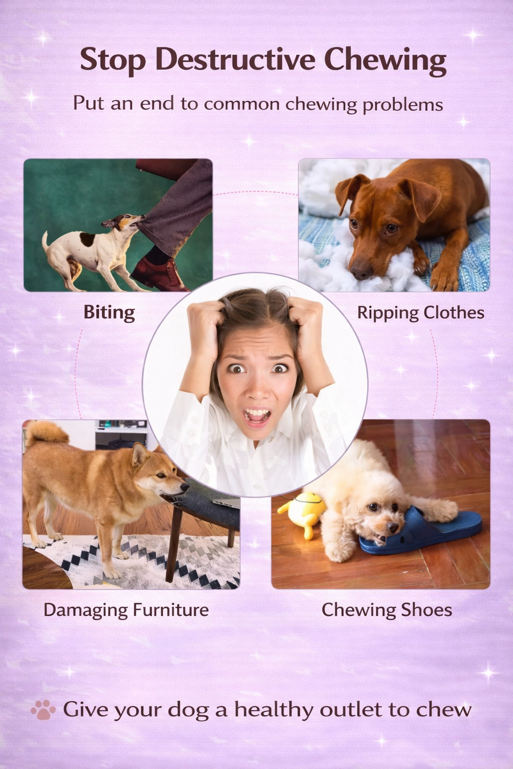Interactive dog treat ball